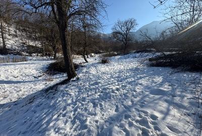 Proprietate intravilană - 2.298 mp - Mălaia, jud. Vâlcea - 5