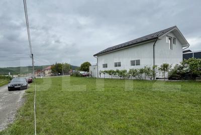 Teren de 1100 mp, în Viișoara - 9