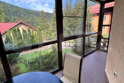 Vila zona superba Predeal - 17