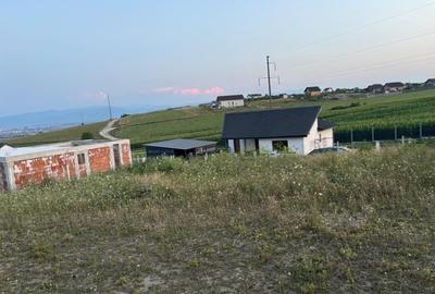 Vand Teren, Sura Mare, 451 mp - 6