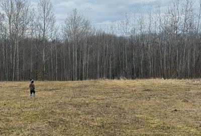 Teren de 4000 mp, în Ștubeiu - 4
