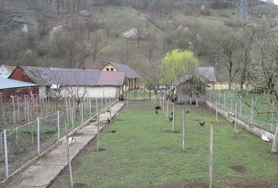 Casă cu 3 camere cu Teren 2900 Mp în Vețel - 8