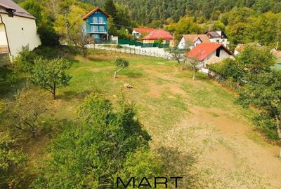 Teren Construcții intravilan de 120000 mp, în Nord - 1