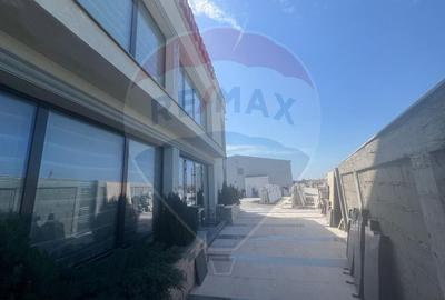 Spațiu industrial, de 640 mp, în Jorăști - 16