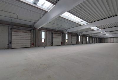Chitila-Hala 300 mp, structura de beton armat,pereti  din prefabricate. - 4