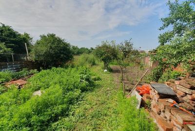 Casă cu 2 camere cu Teren 1199 Mp în Aradul Nou - 9