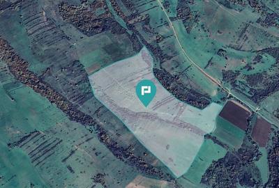 Teren de 87 Hectare de Arendat in Bara, Timi? - 8