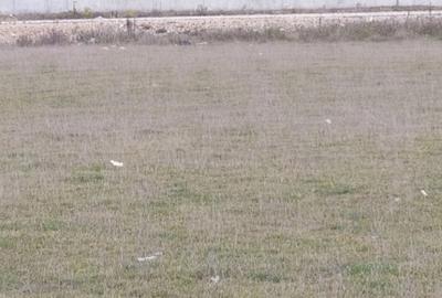 Teren Construcții intravilan de 700 mp, în Bartolomeu - 3