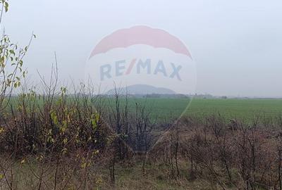 Teren de 5000 mp, în Tunari - 1