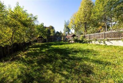 FILM! Proprietate notabila, ocazie personalizare, in transcendentalul Bran, Bras - 33