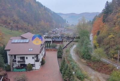 Casa cu posibilitate transformare in pensiune si teren de vanzare Piatra Neamt - 2