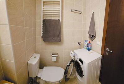 Apartament cu 2 camere, mobilat în Colentina - 8