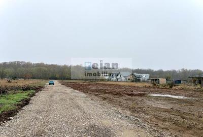 Snagov - Ciofliceni, Str Serban Cantacuzino 882 Mp, Asfalt, Utilitati - 4