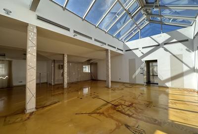 Casă individuală cu 26 camere cu Canalizare în Grădina Icoanei - 2