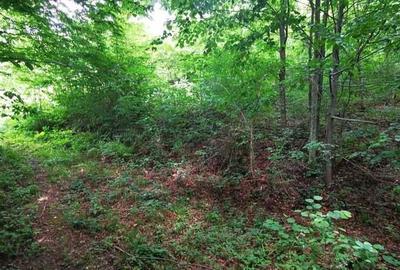 Teren Valiug 900-2400 mp acces auto utilita?i negociabil - 9