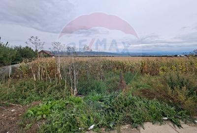 Teren  5.000 mp – strada Tineretului, orașul Buhuși - 3