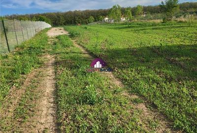 Teren 5600 mp Snagov Lac - 5