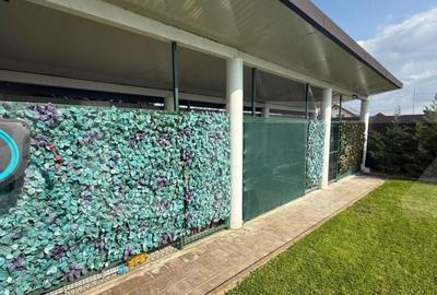 Un col? de rai, cu suflet de ora? Refugiul tau din Di - 29