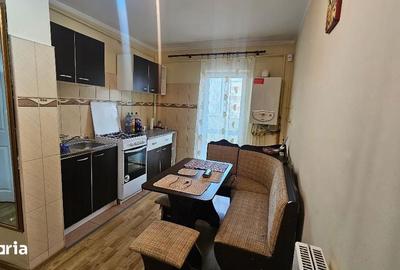 Apartament cu 2 camere decomandat în Cetate - 5