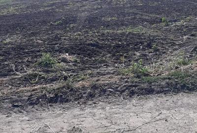 Teren de 15000 mp, în Agigea - 2