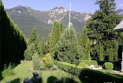 Teren de 1747 mp, în Piatra Arsă - 5