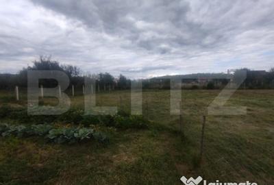 Casă cu 3 camere cu Teren 2508 Mp în Central - 1