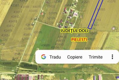 Teren de 14000 mp, în Pielești - 4