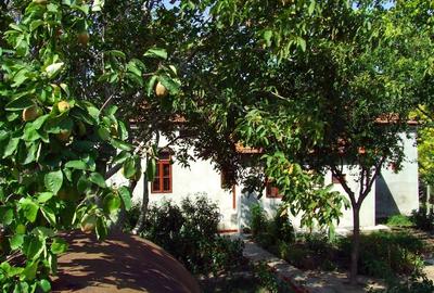 Casă cu 5 camere cu Teren 890 Mp în Nicolae Bălcescu - 5