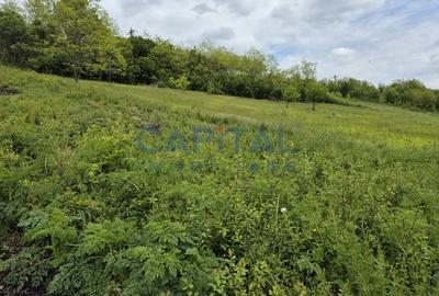 Oportunitate de investitie! Teren extravilan 11 400 mp, Apahida - 2