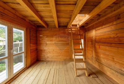 Duplex spatios - oportunitate pentru dezvoltatori sau doua familii - 51