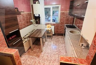 Apartament cu doua camere, parter, Micalaca - 4