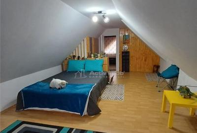 Casa superba de in Fantanele - 12