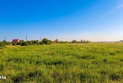 Teren de 3900 mp, în Clinceni