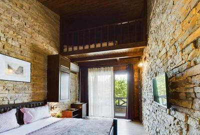 Pensiune de Lux pe Malul Dunarii in Dubova - 8