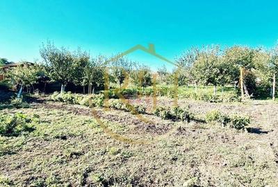 Casă cu 5 camere cu Teren 1500 Mp în Beregsău Mare - 1