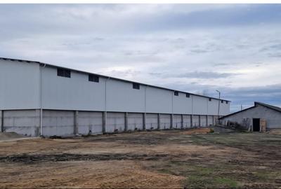 Spațiu industrial, de 1,590 mp, în Aeroport - 3