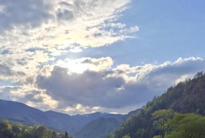 Teren de 1000 mp, în Malaia - 8