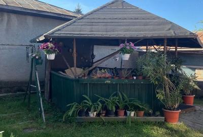 Casă cu 3 camere cu Teren 1550 Mp în Est - 4