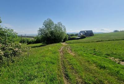 Teren intravilan – 3.101 mp, Tărlungeni, Brașov – ideal pentru casă de vacanta - 5