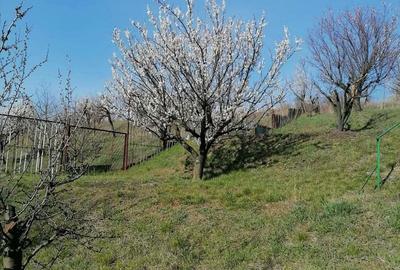 Teren de 3405 mp, în Spitalul Județean