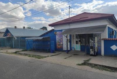 Casă cu 4 camere cu Teren 800 Mp în Licuriciu - 4