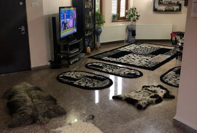 Vila D+P+M - Loc.Poiana - 245.000 euro (Cod E2) - 4