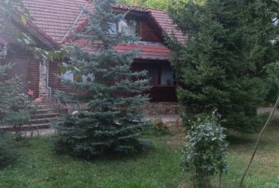 Izvoarele, Prahova - 1