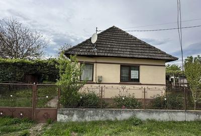 Casă cu 2 camere în Mica - 4