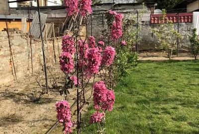 Casă cu 5 camere cu Teren 357 Mp în Central - 10