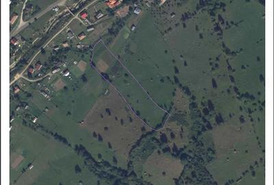 Teren de 10994 mp, în Ceahlău - 1