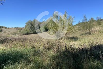 Teren Construcții intravilan de 1300 mp, în Cornățel - 2