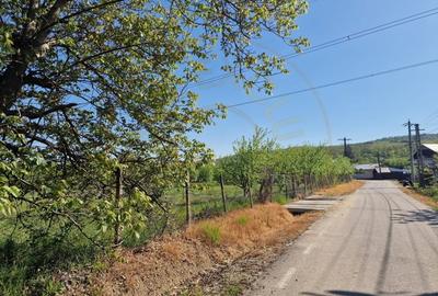 Teren Construcții intravilan de 3392 mp, în Călinești - 1