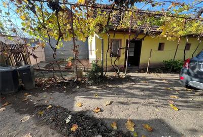 Casă cu 4 camere cu Teren 1344 Mp în Sălard - 10
