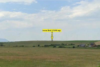 Teren de 13100 mp, în Bod